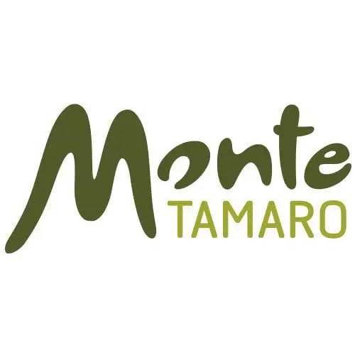 Monte Tamaro