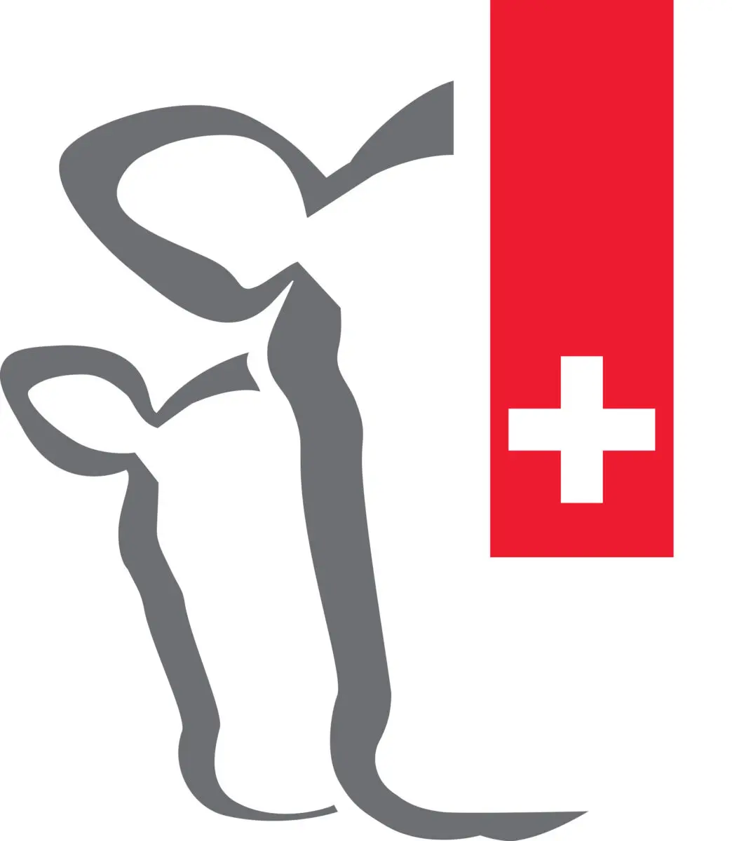 Mutterkuh Schweiz