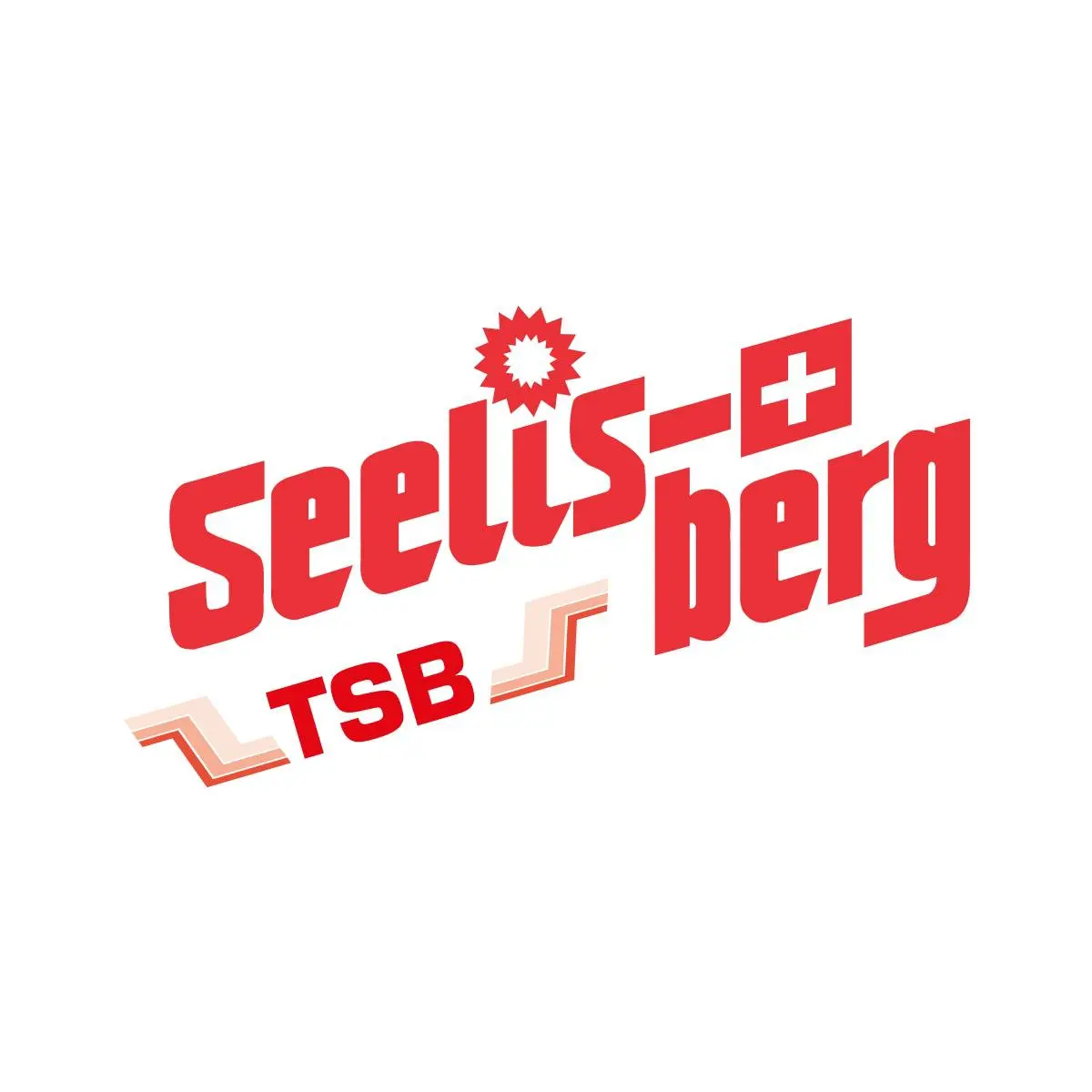 Treib-Seelisberg-Bahn