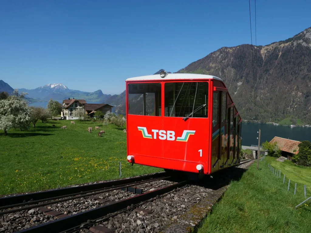 TSB Bahn Fruhling bei Schwanden mit Kuhen nah