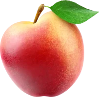 Boogatea peach 004.webp