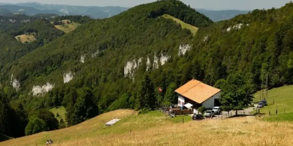 Familienausflug Baselland Schlittel Bergrestaurant Vogelberg