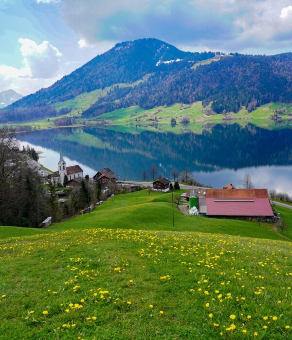 Morgarten Aegerisee harry pepelnar 1