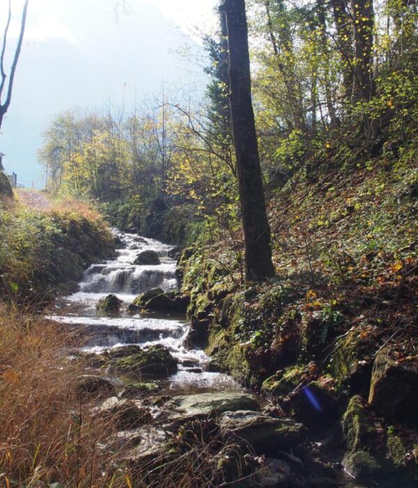 Rotzschlucht Ennetmoos Foto Nidwalden Tourismus