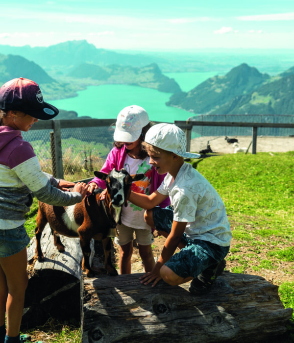 Stoosbahnen Geissli Streichelzoo Fronalpstock