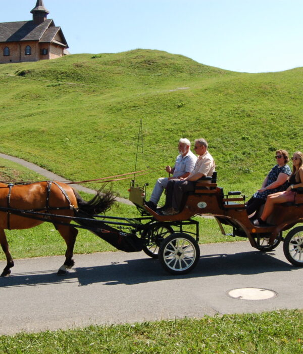 Stoosbahnen Pferdekutsche Stoos