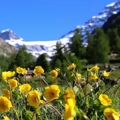 Wandern Wallis Erlebnisse buchen3