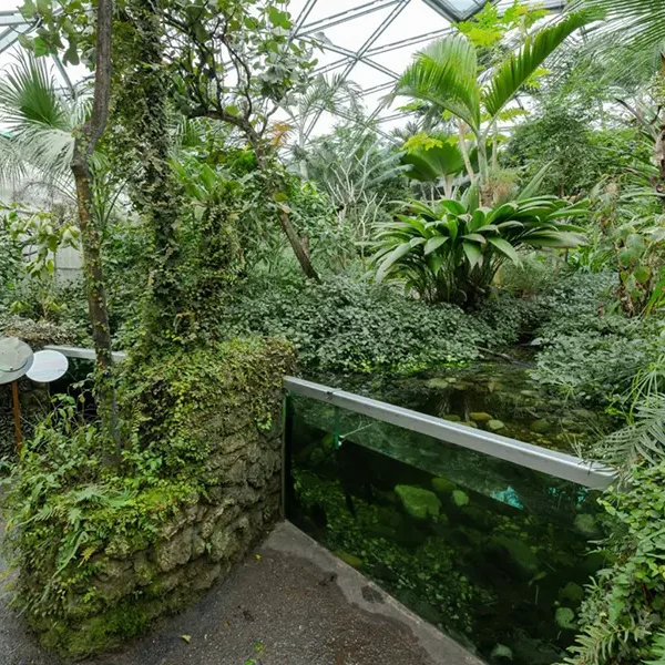 fauna papiliorama09